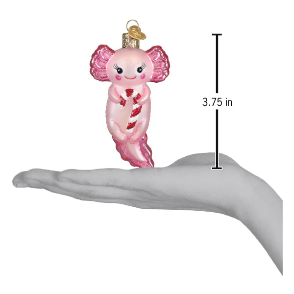 Axolotl With Candy Cane Ornament - Image 4