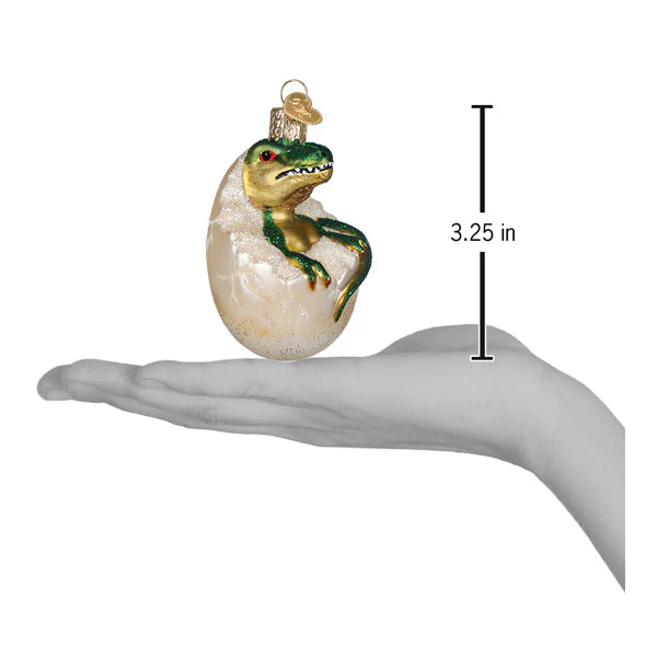 Baby DIno In Egg Ornament - Image 4