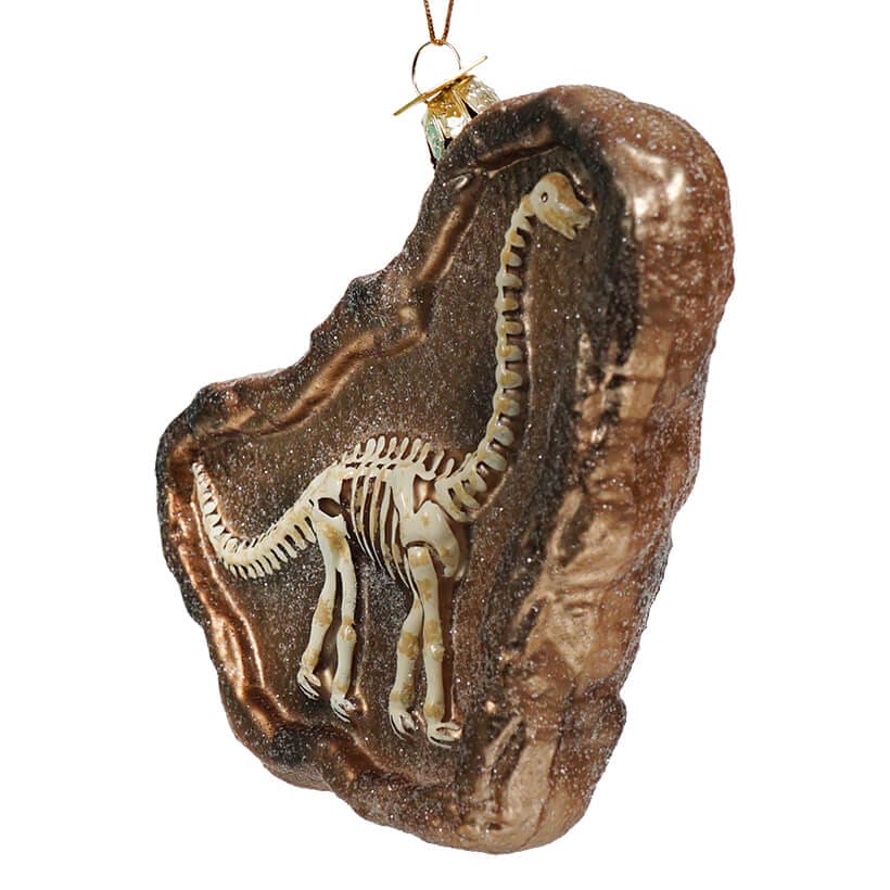 Brontosaurus Dinosaur Fossil Ornament - Image 2