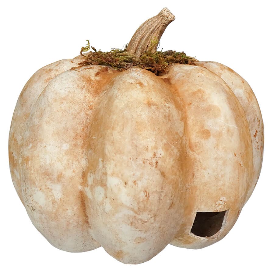 Carved White Grinning Face Pumpkin - Image 3