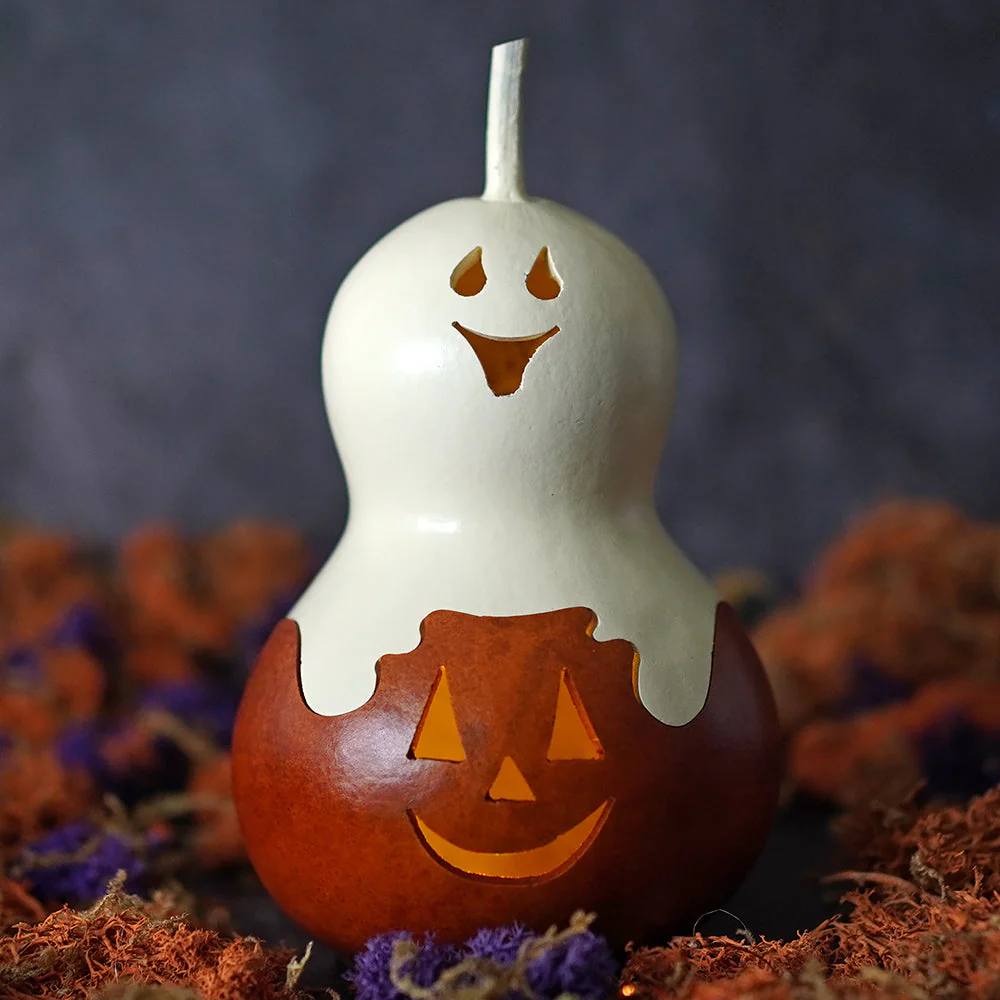 Casper - Miniature Jack Ghost Gourd - Image 3