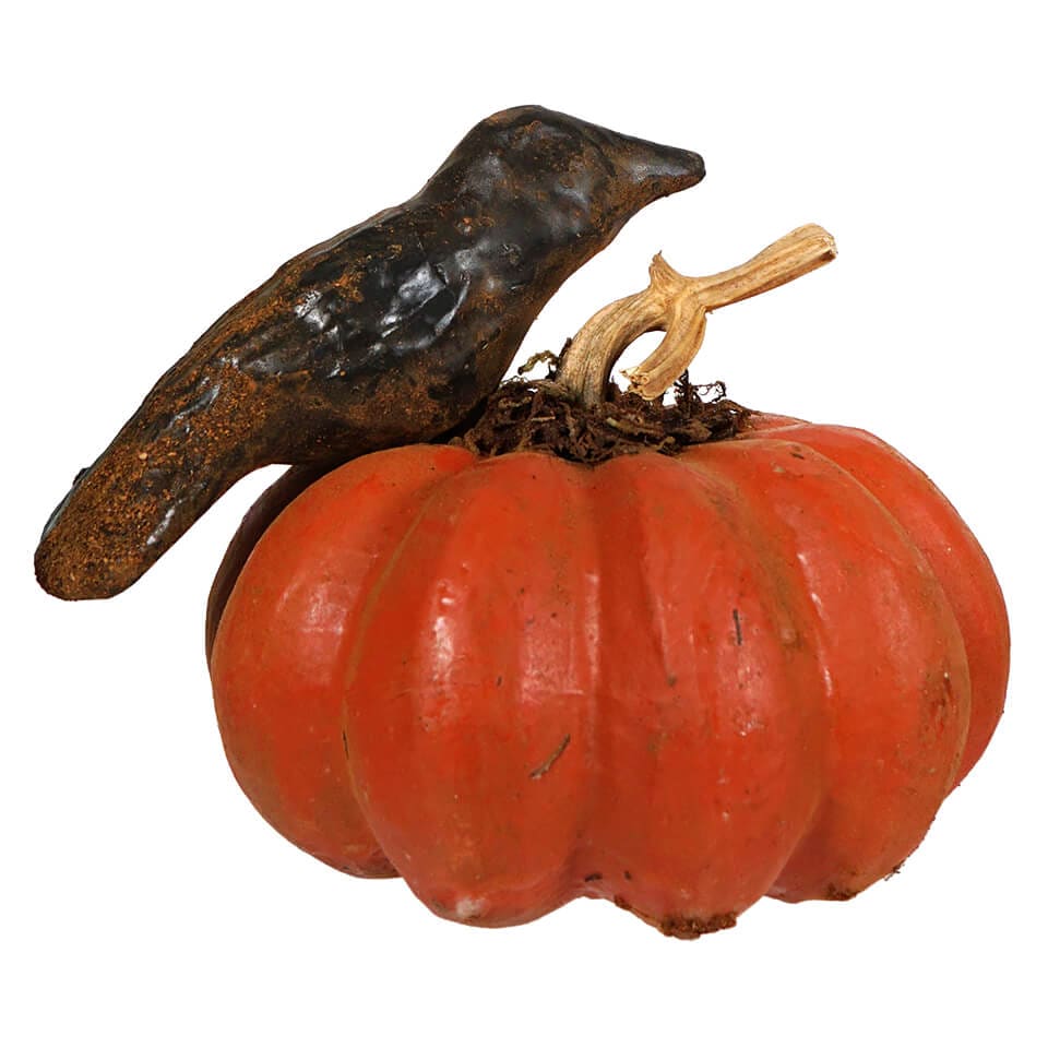 Crow Sitting Upon Orange Pumpkin - Image 2