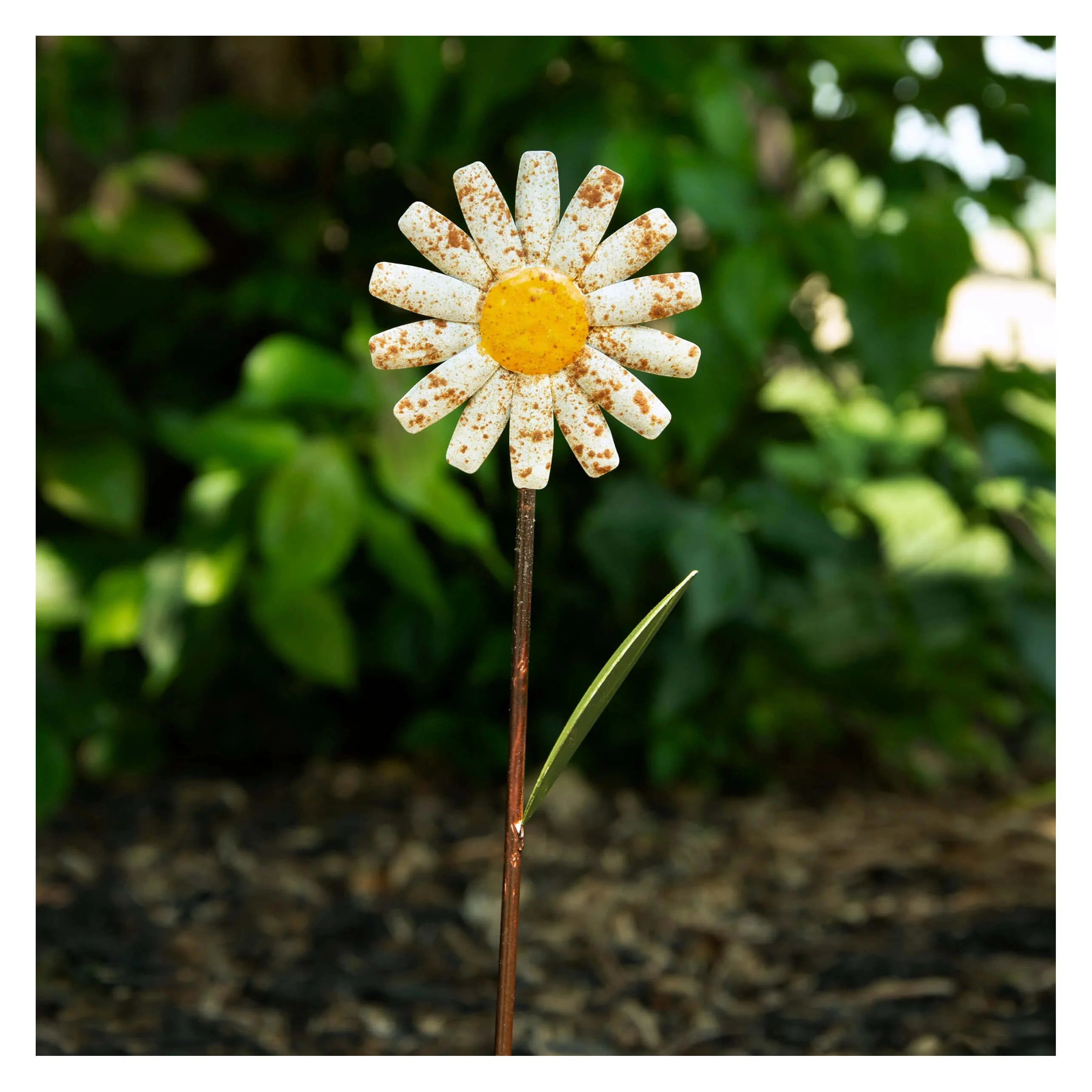Daisy Garden Pick - Image 3
