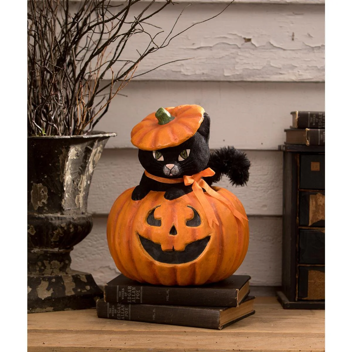 Kitty Cat In Jack - Image 4