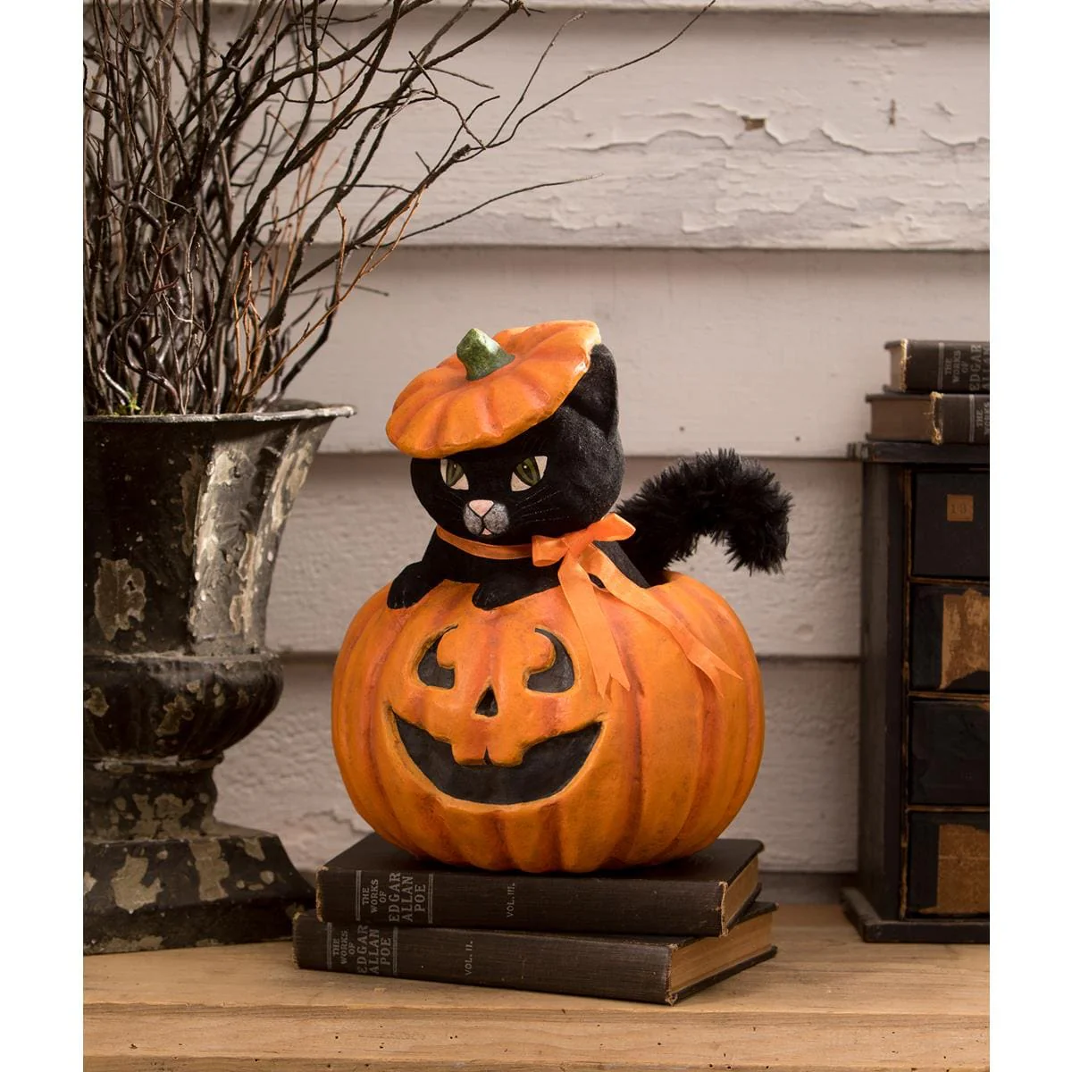 Kitty Cat In Jack - Image 5