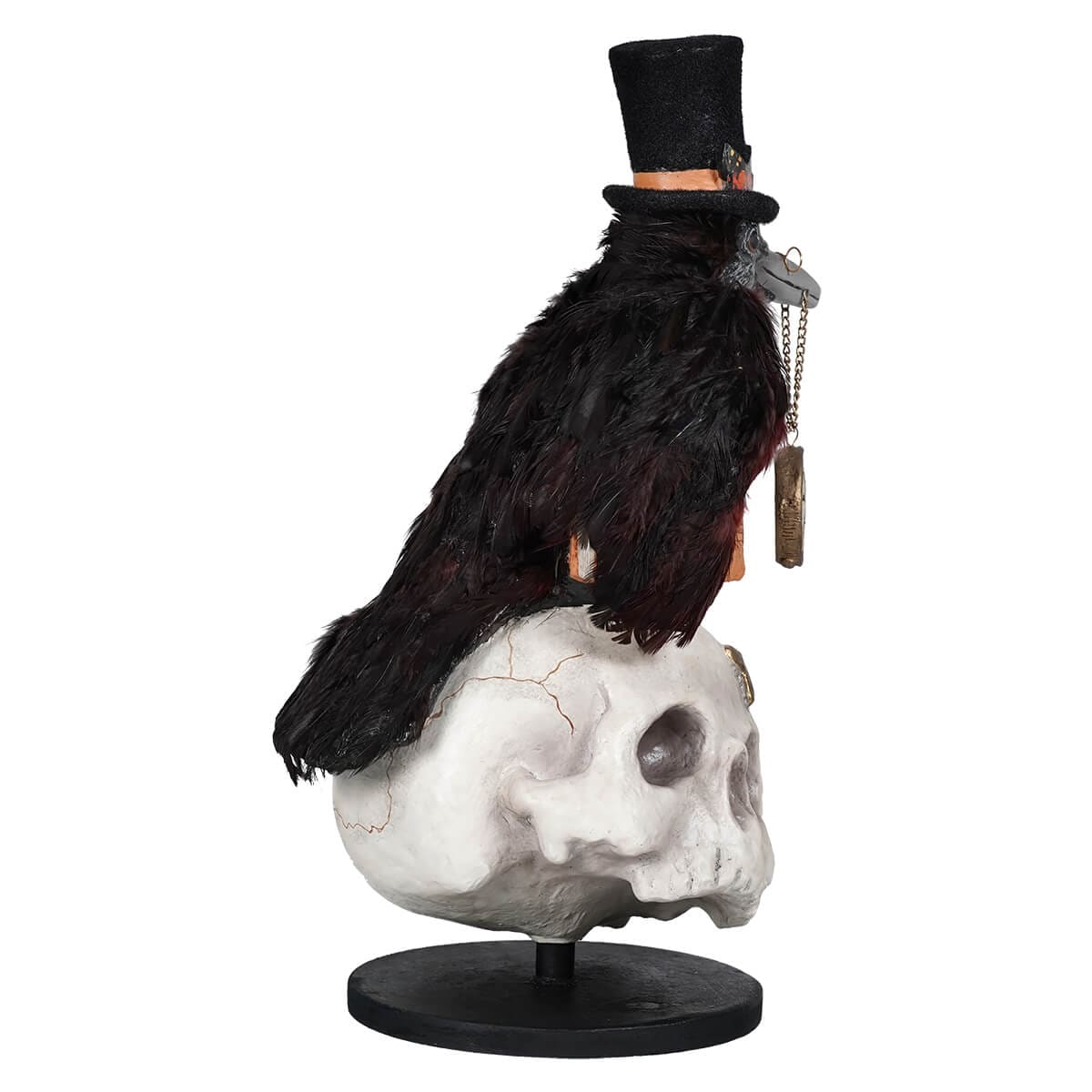 Midnight Crow On Skull - Image 2