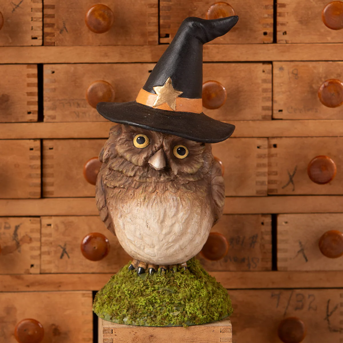 Owlina Witch - Image 4