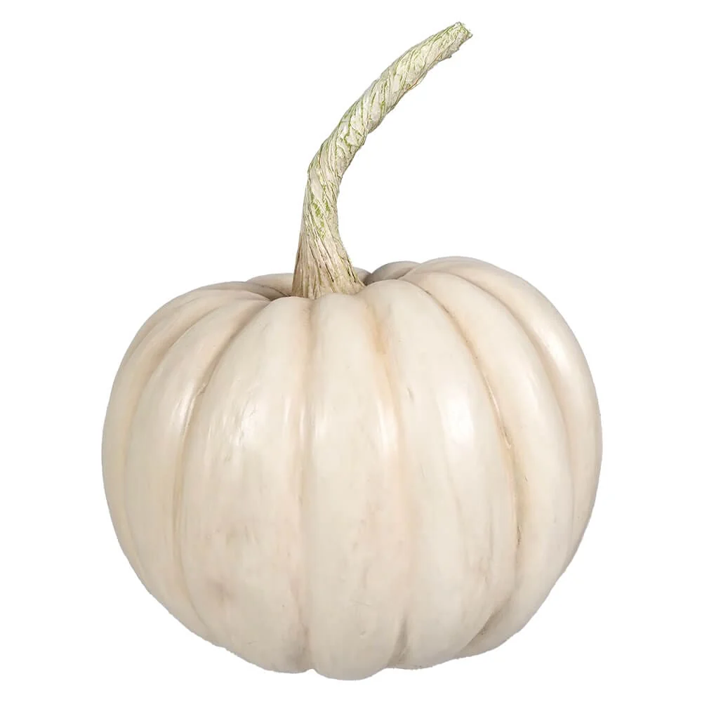 Peek-a-Boo Pumpkin White - Image 3
