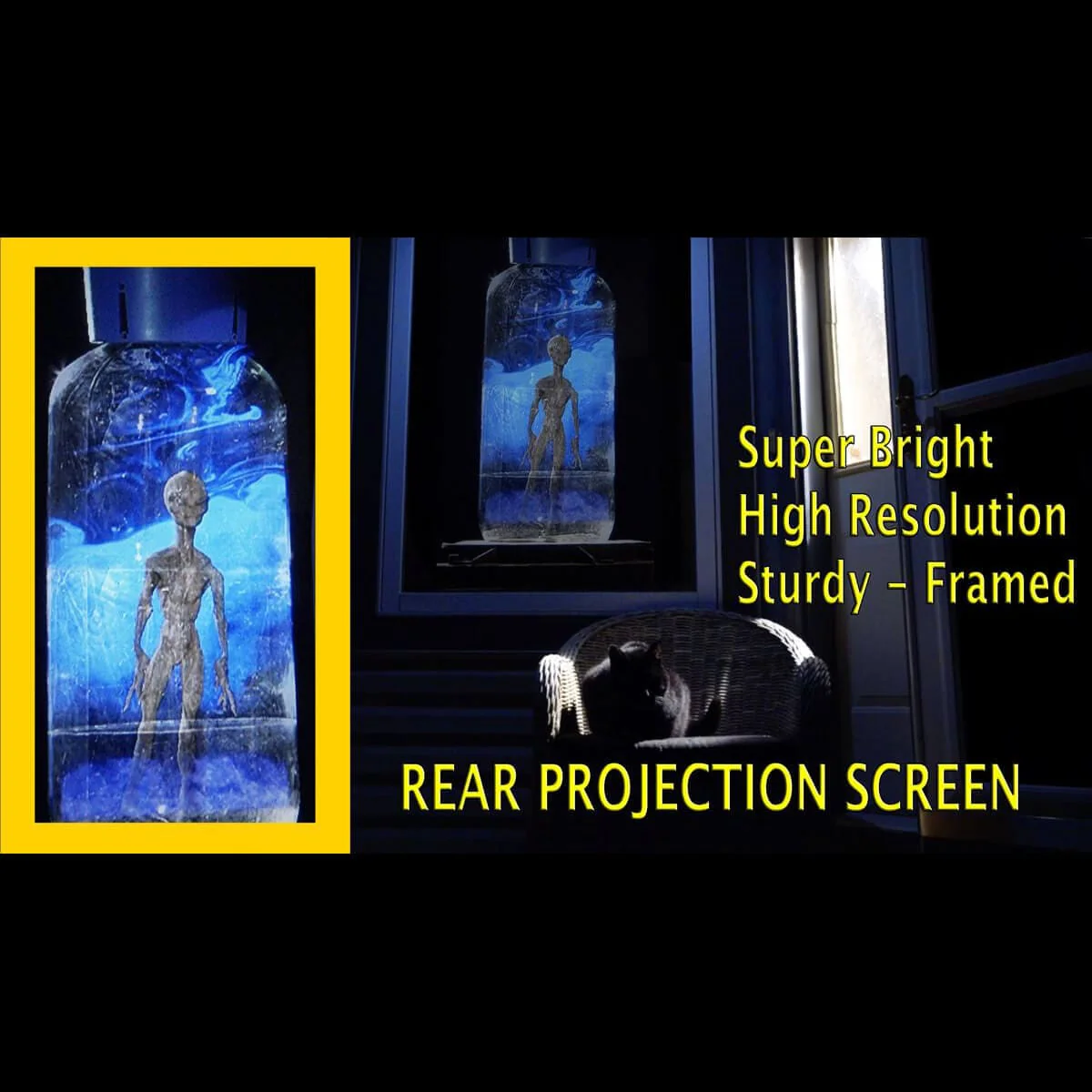 Pro Rear Projection Screen - Image 2