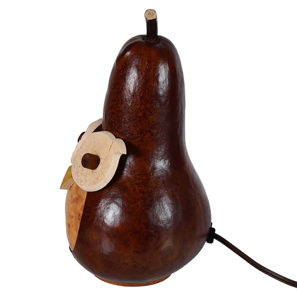 Professor Owl - Small Lighted Gourd - Image 3