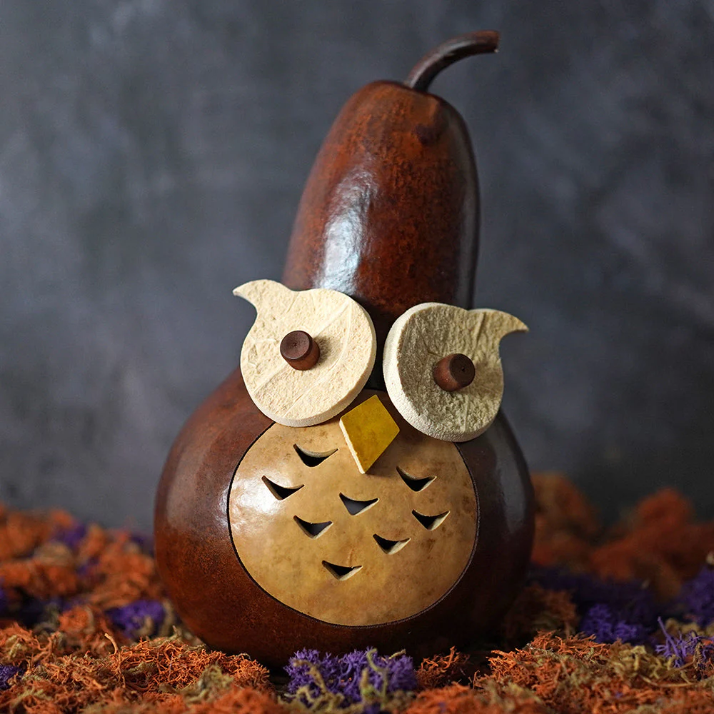 Professor Owl - Small Lighted Gourd - Image 4