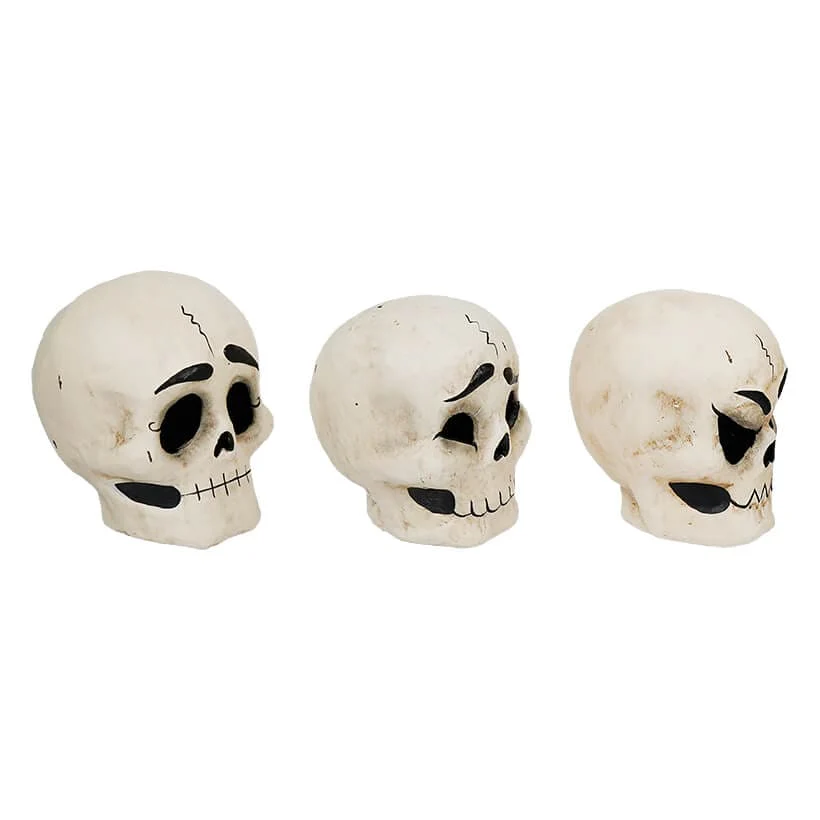 Skully Heads Set/3 - Image 5