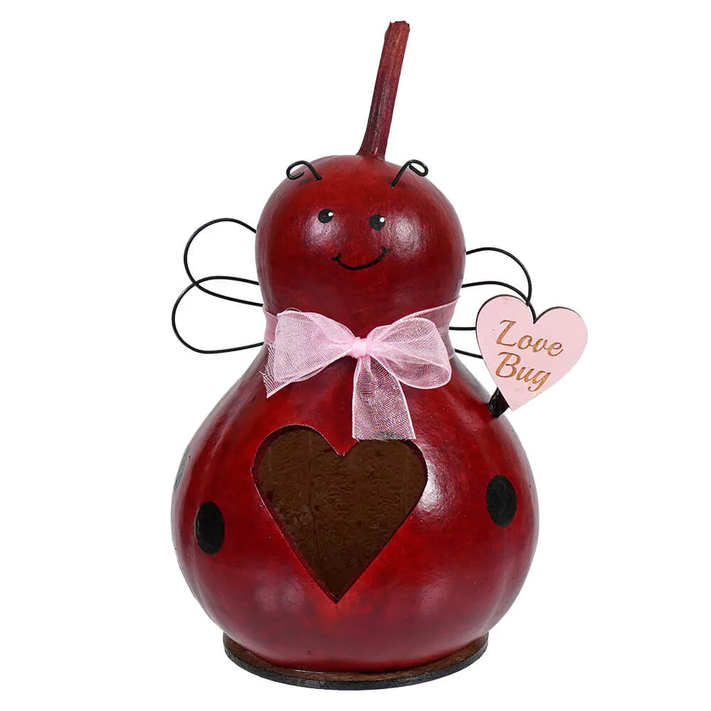 Valentine Love Bug Gourd With Heart Cutout
