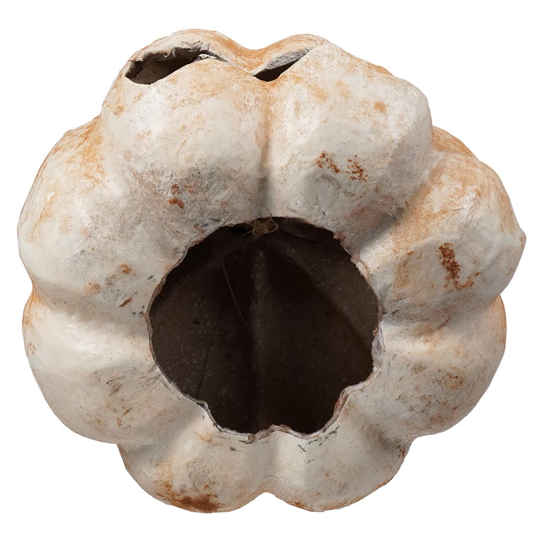 White Carved Pumpkin With Upside Down Nose - Image 3