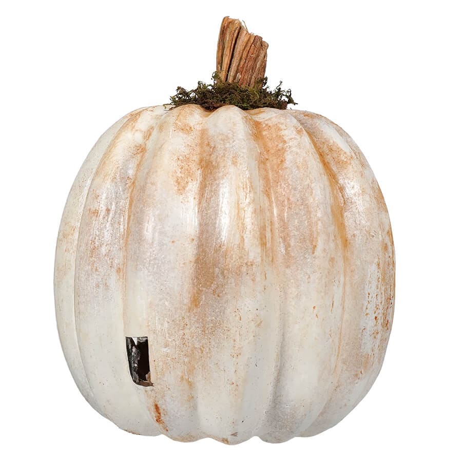 White Ghost Faced Pumpkin - Image 2