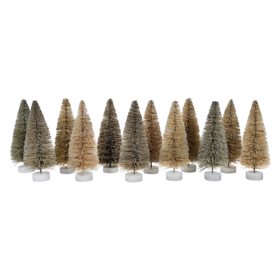 Winter Trees Boxed Set/12