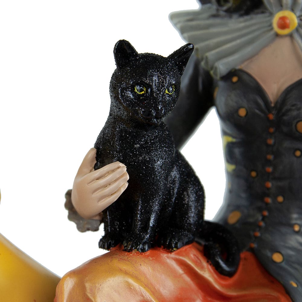 Witch Sitting Upon Crescent Moon Holding Black Cat - Image 6