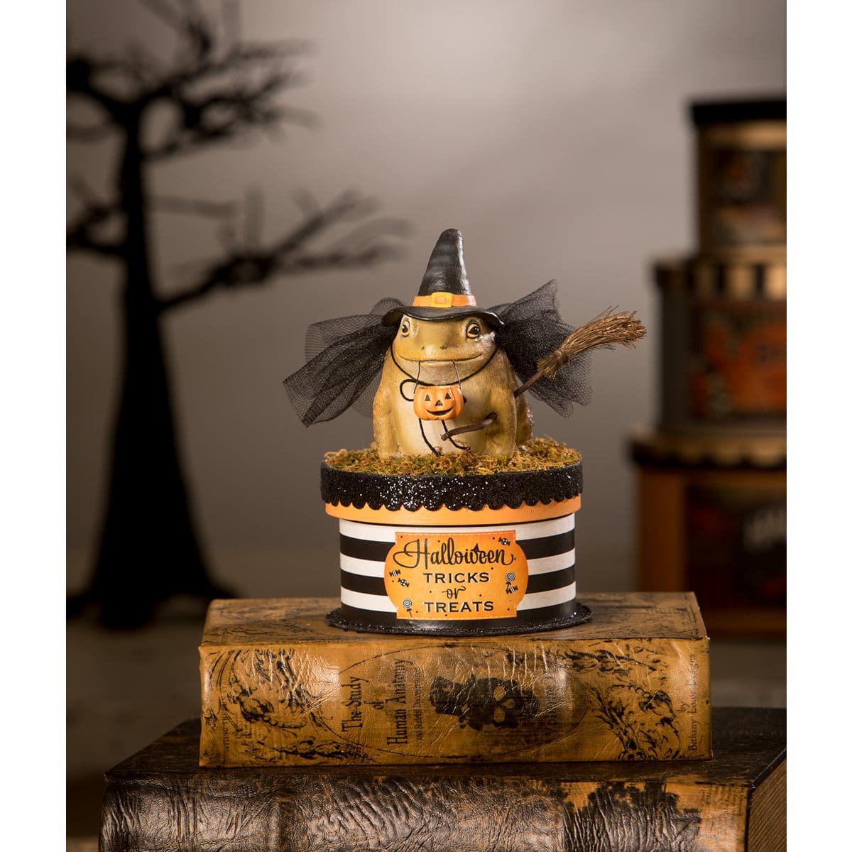 Witchy Toad On Box - Image 4